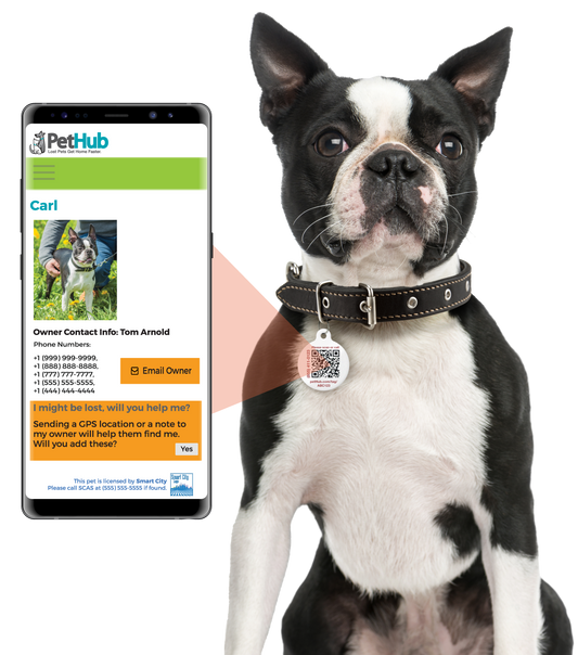 PetHub QR Pet ID Tag – Original Get Me Home Club