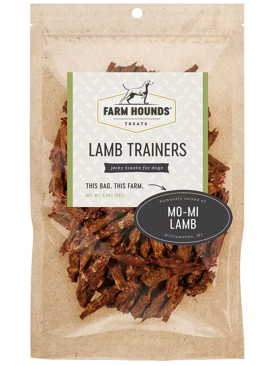 Lamb Trainers